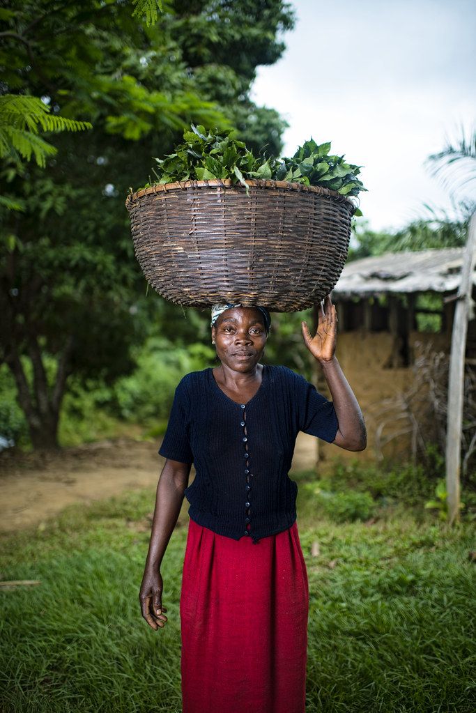 Portrait of a woman carrying Gnetum (okok) in the village of Minwoho, Lekié, Center Region, Cameroon.