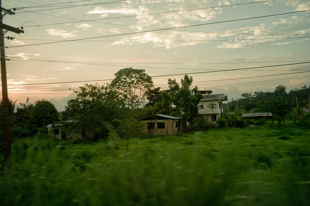 New houses in the outskirts of Coca. Internal migration to Napo Province is one of the main causes of deforestation.