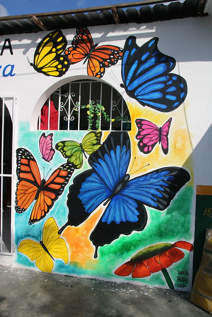 Draya Madu Mural, Cozumel, Mexico-IMG_3882