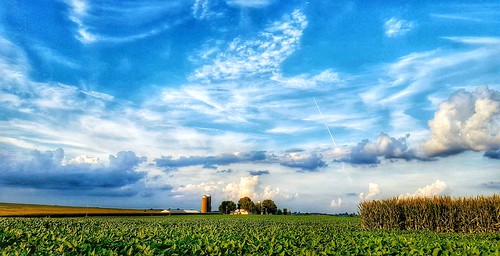 clouds green blue farm greenhouseeffect corn soybeans crops illinois hot humid growingseason grain contrails agriculture harvest