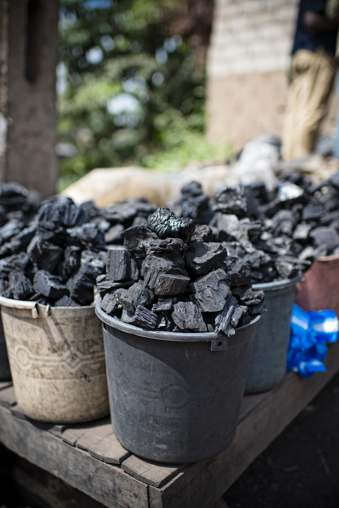 Charcoal seller at Mokolo Market. The trade is a contributor to deforestation as people rely on charcoal and firewood for...