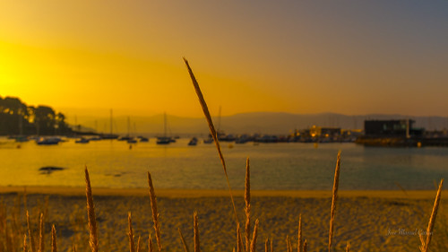 fuji fujifilmx100f portonovo josema72 galicia sanxenxo playa amanecer sunrise summer
