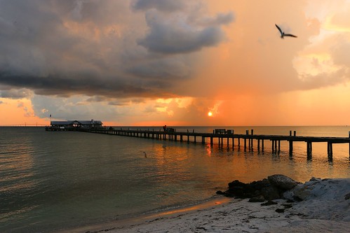 morning storm bird rain clouds tampa island dawn bay pier tampabay annamaria sunshineskywaybridge citypier
