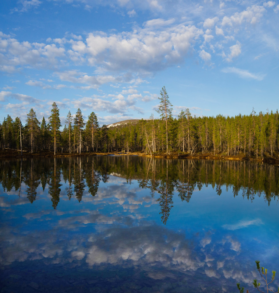 Urho Kekkonen National Park - Kaavitsalammi Water Reflections (Early morning light)