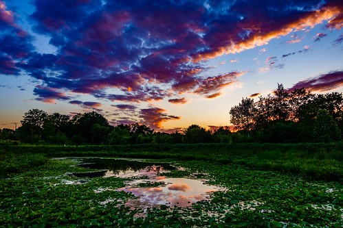 sunset lilypond alewifebrookreservation reflection cambridge clouds colors boston massachusetts sky colorful newengland water arlington