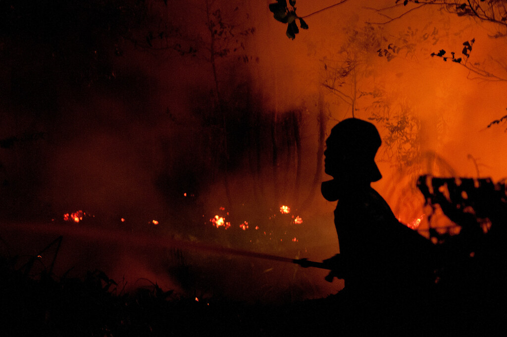 Firefighters fight the fire at night. Outside Palangka Raya, Central Kalimantan.