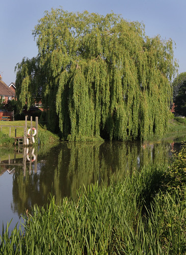 lincolnshire rivers ancholm towns brigg trees landscape england uk