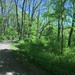 Rochester Hiking