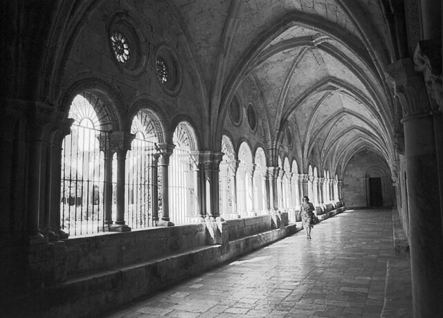 Tarragona Cathedral Cloister