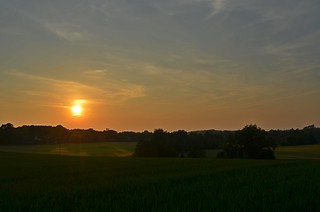 Sunset Evening Walk