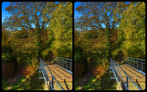 saxony sachsen vogtland castle fortress burg mylau schlos park autumn indiansummer fall europe germany crosseye crosseyed crossview xview cross eye pair freeview sidebyside sbs kreuzblick 3d 3dphoto 3dstereo 3rddimension spatial stereo stereo3d stereophoto stereophotography stereoscopic stereoscopy stereotron threedimensional stereoview stereophotomaker stereophotograph 3dpicture 3dglasses 3dimage twin canon eos 550d yongnuo radio transmitter remote control synchron kitlens 1855mm tonemapping hdr hdri raw 100v10f