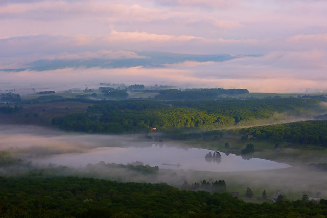 Canaan Valley: Morning fog