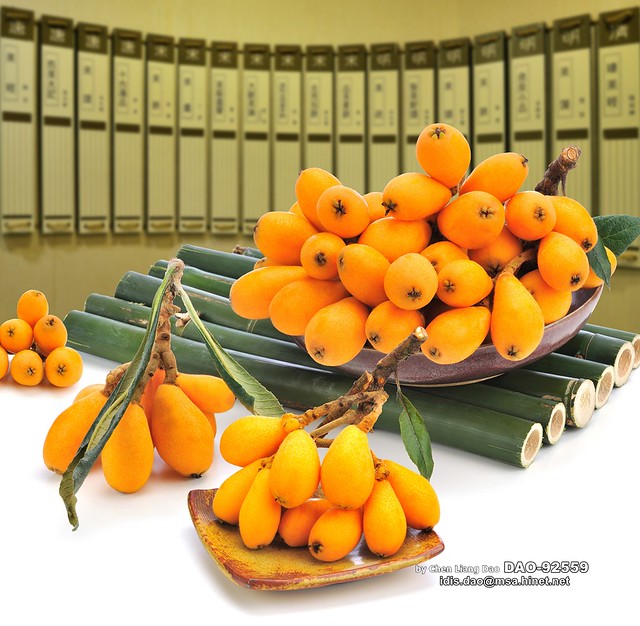 DAO-92559 台灣水果,台灣水果月曆,水果月曆,枇杷