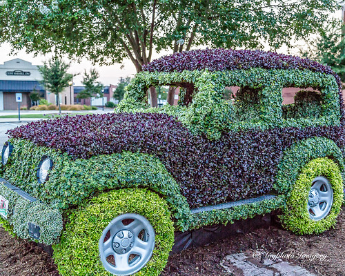 augphotoimagery jeep creative plants sculpture topiary truck unusual greenwood southcarolina unitedstates