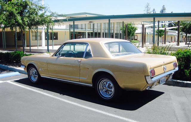 1966 gold limited edition sprint mustang
