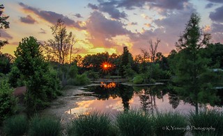 Sunset @ Brick Pond Park