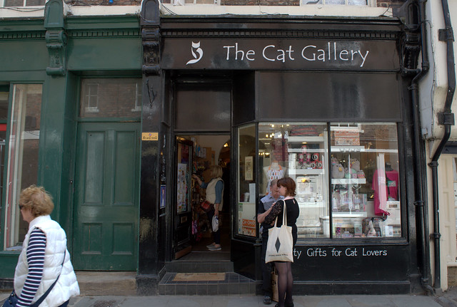 The Cat Gallery, York