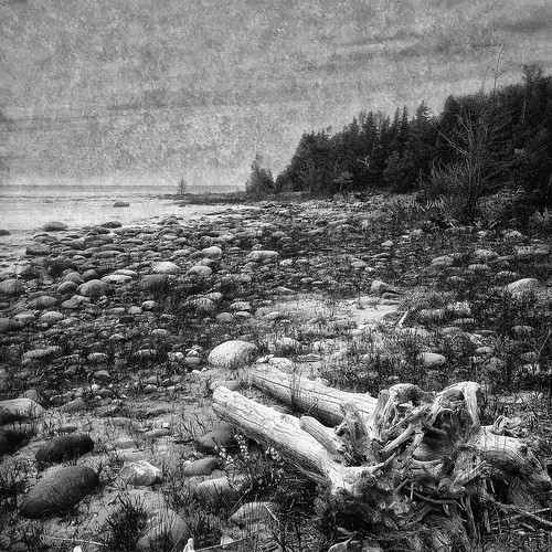 rugged coast line lake huron ontario canada sunset point macgregor macgregorprovincialpark sunsetpoint lakehuron ontariocanada coastline ruggedcoastline seascape beach bw blackwhite monochrome mood moody water rocky provincialpark landscape landscapes texture travel textureoverlays trees forest fineart iphone iphone5s iphoneography iphonephotography hipstamatic snapseed squarecomposition mobilephoneography