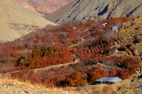 landscape mountain colorful red trees hdr hdrphotography nature iran ایران طبیعت outdoor