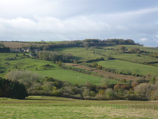 Cotswold Hills 