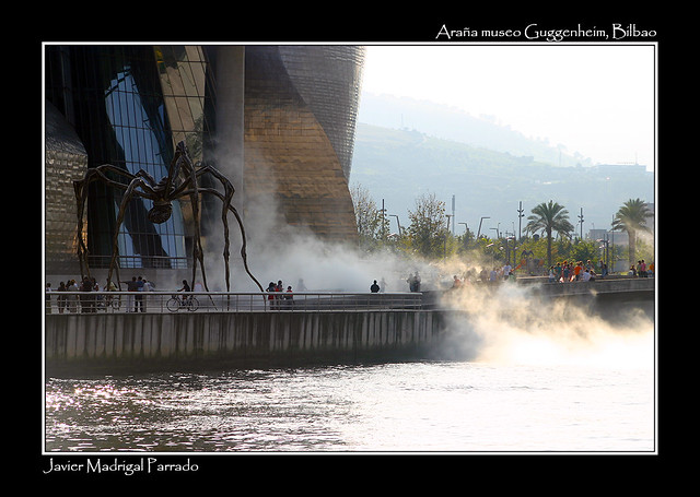 Araña del Guggenheim Bilbao.
