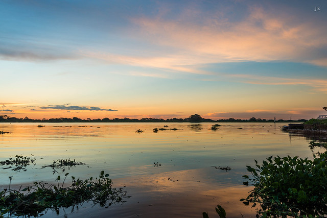 Pantanal - Mato Grosso do Sul