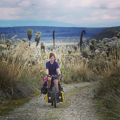 Cycling through the beautiful Reserva El Angel. #cycling #cycletouring #adventurecycling #ecuador #elangel #reservaelangel #dirtroad