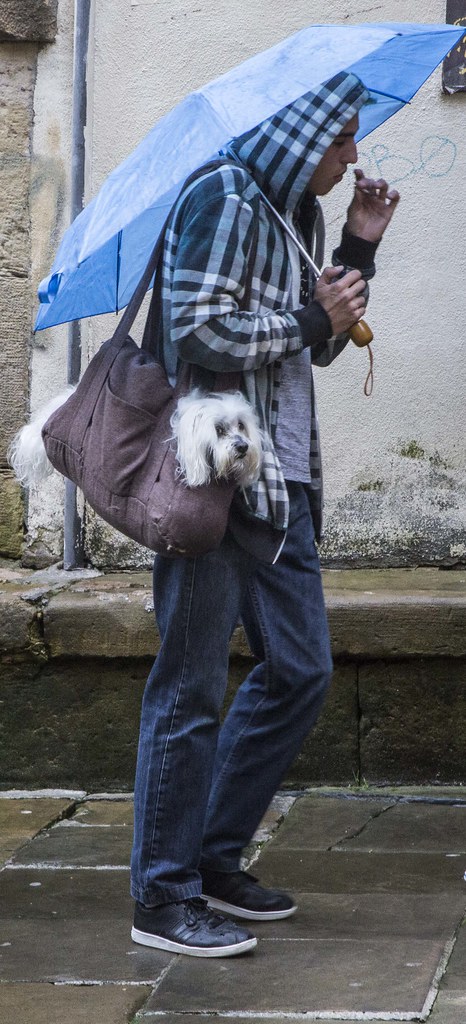 Dog in a Bag and a Joint, San Sebastián