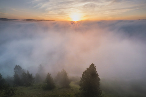 lozère leverdesoleil forêt contrejour valléedulot nuage technique brume environnement paysage barjac occitanie france fr nature brumeux