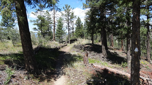 chfstew colorado coloradotrail trail hiking landscape trailsign