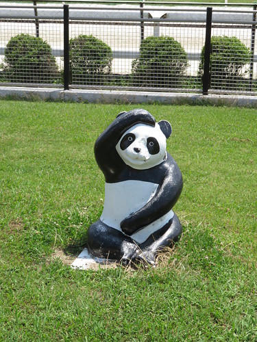 名古屋競馬場のパンダ