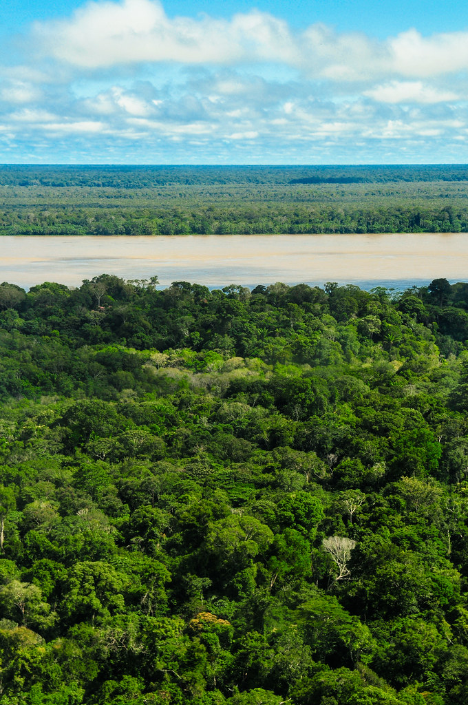 Aerial view of the Amazon Rainforest, near Manaus, the capital of the Brazilian state of Amazonas, Brazil.