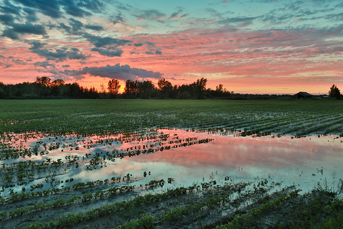 canoneos5dmarkiv midland midlandcounty michigan mi flood puddle field campo sunset puestadelsol soybean summer rainstorm trees wet reflection clouds cielo hdr canon flooded
