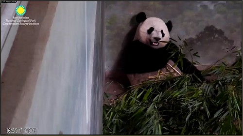 How am I ever going to get through all this boo? I'm getting sleepy... | by helenwoo555