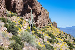 Upper Ruins, Tonto National Monument