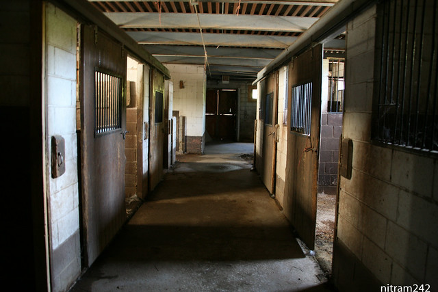 Noble Horse Stables