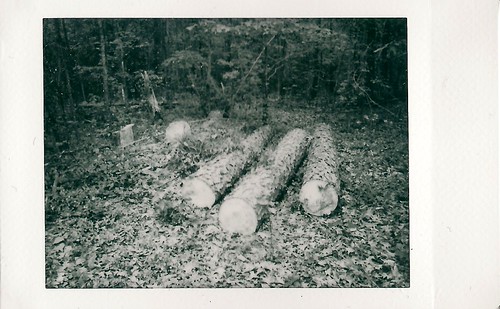 Instax mini 90 Logs | by Neal3K