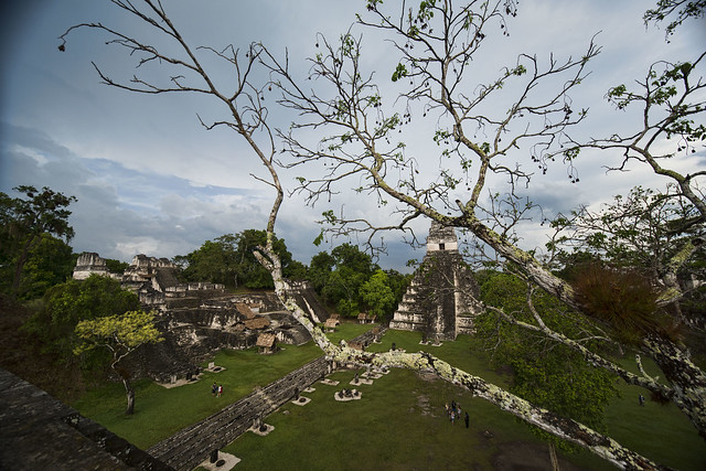 170601-Guatemala-Tikal-CRuano-0349