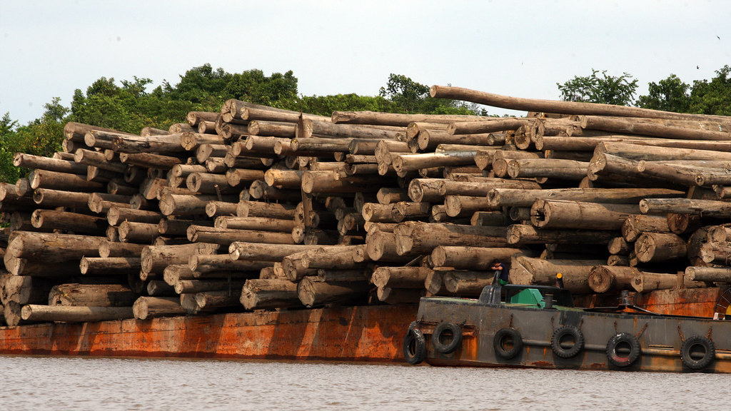 A barge transporting logs in Central Kalimantan, Indonesia.