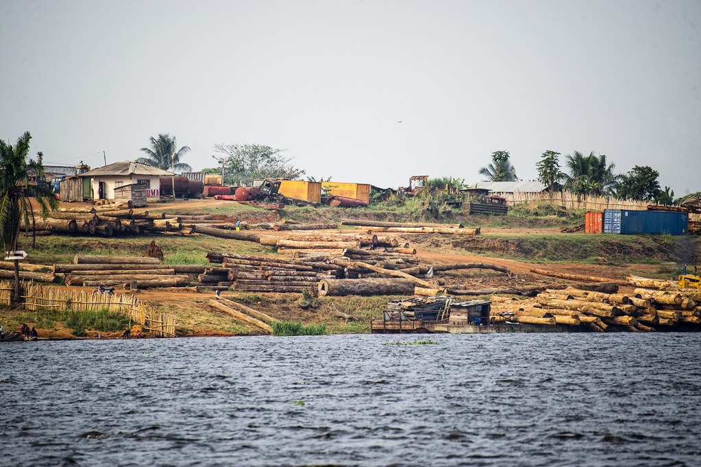 SOFORMA (Wood Industry), view on the way back to Kinshasa from Lukolela - Congo River, Democratic Republic of Congo.