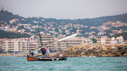 Hissant veles a la bocana del port: la Carlos Barral