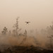 UAV flies over burning peat