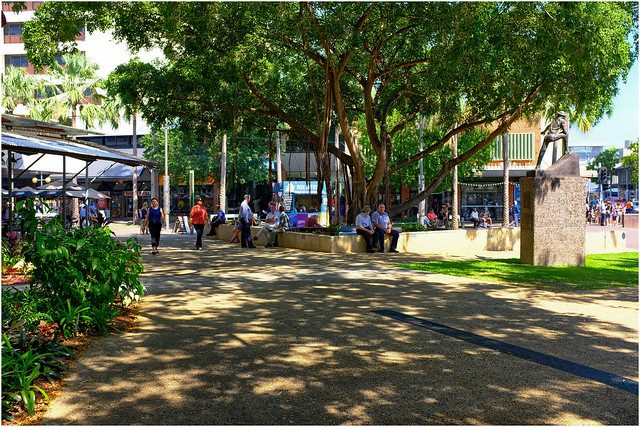 Raintree Park mid-winter lunchtime - Darwin..