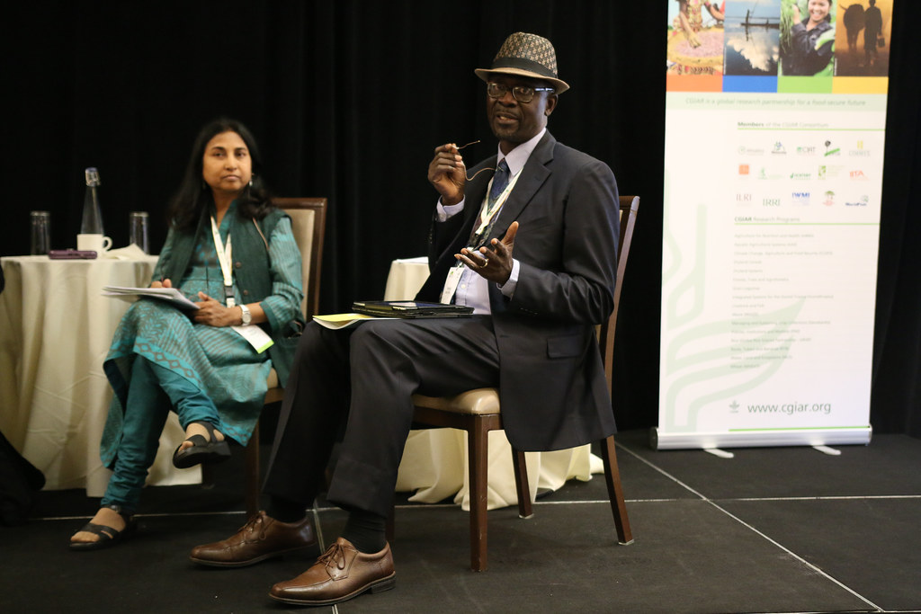 Kwesi Atta-Krah, Director, CGIAR Research Program on Integrated Systems for the Humid Tropics, speaking at the CGIAR Development Dialogues, 25...