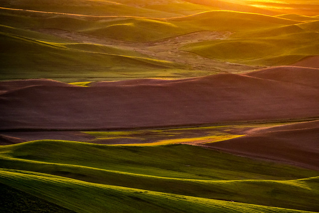 morning view from Steptoe Butte