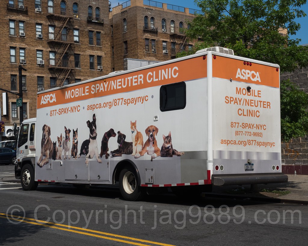 Aspca Mobile Spay Neuter Clinic Inwood New York City Flickr