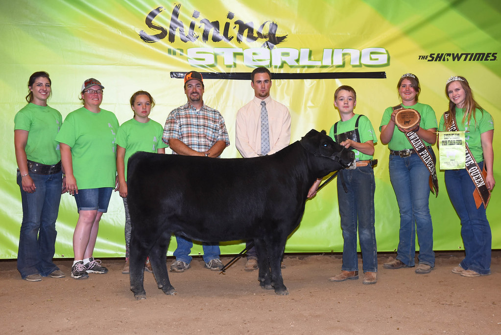 Reserve Champion FB Spring Yearling Heifer, NXS Vegas Queen 6D2, Caleb Weyh