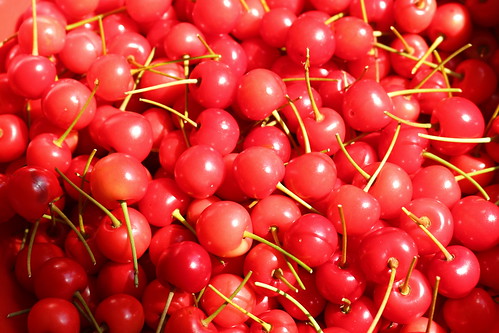 Fresh picked cherries