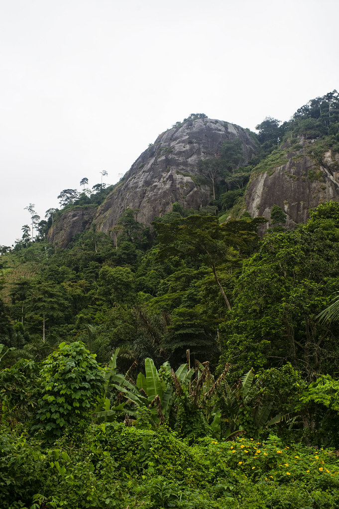 CIFOR office, Cameroon