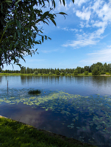 trees summer green nature suomi finland river landscape riverside july riverbank pori myhometown kirjurinluoto kokemäenjoki jonimansikka